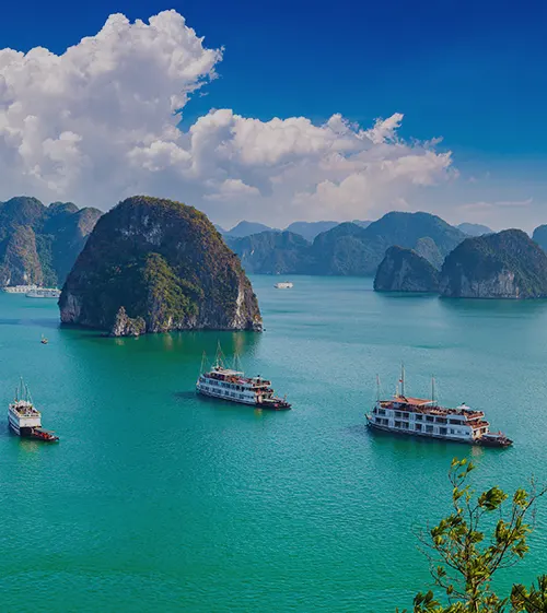 Cruises in Ha Long Bay