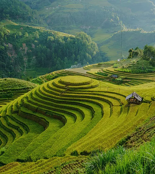 Hiking in the mountains of Sapa